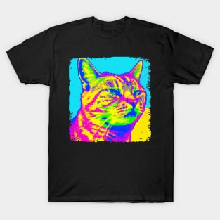 Tabby Pop Art - Cat Lover Gift T-Shirt